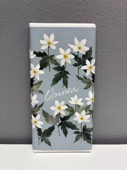 Suklaalevy, kevät - Kortit ja suklaalevyt - makeistoK6Q1 - 1